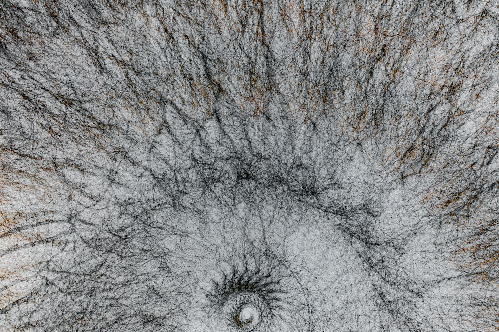 art nature-4949.jpg
